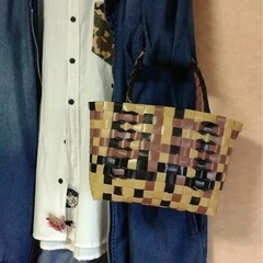 プラカゴバッグ サビ猫の画像