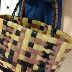 プラカゴバッグ サビ猫の画像