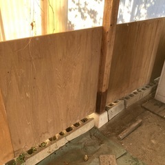 値下げ　ベニヤ合板　コンパネ？の画像