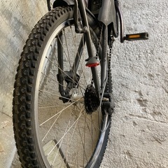 Panasonic電動アシストの画像