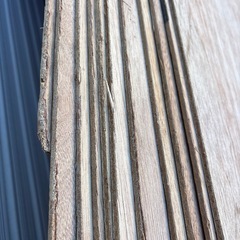 合板11枚　　182cm×91cm×5mmの画像