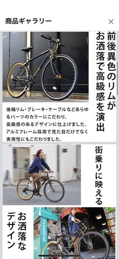 【取引中】黒金 クロスバイク リグ
