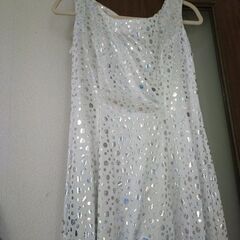 キラキラドレス（カラオケとか ダンスとかする方いかが）の画像