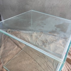 【17】30cmキュー部中古水槽の画像
