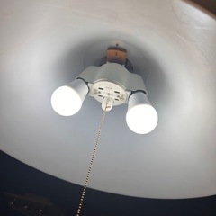 今月限りで処分　照明器具　直管蛍光灯の画像