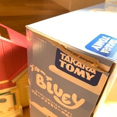 ブルーイファミリーのおうちの画像