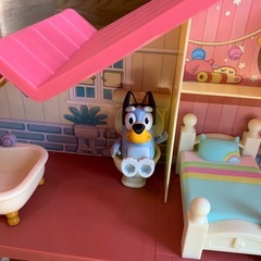 ブルーイファミリーのおうちの画像