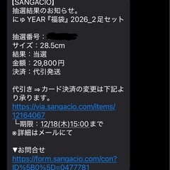 にゅーず　にゅYEAR福袋の画像