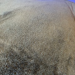 マイクロファイバーラグ　円形190㎝　約2畳用の画像