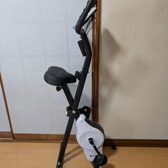 STEADY フィットネスバイク ST102 の画像