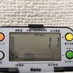 歩数、消費カロリーなど、生活習慣の改善に！　スズケン　ライフコーダGS　加速度センサー　　の画像