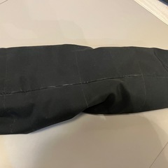 ダントン　ダウンの画像