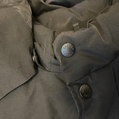 ダントン　ダウンの画像