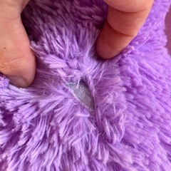 クマぬいぐるみの画像