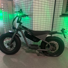 （特定小型 ）WONKYBIKEの画像