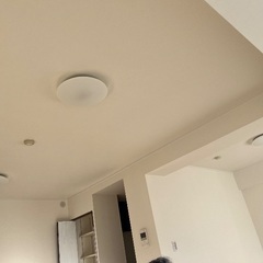 【新品】和室用シーリングライト の画像