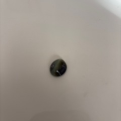 キャッツア　猫目石の画像