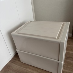 天馬 フィッツケース2点　クローゼット 幅39×奥行53×高さ23cmの画像