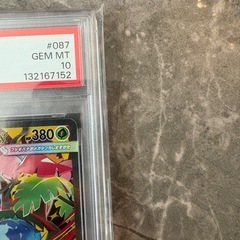   【PSA10 GEM MINT】 メガフシギバナex SAR 087/063 Mega Venusaur ex Special Art Rare｜最高評価 の画像