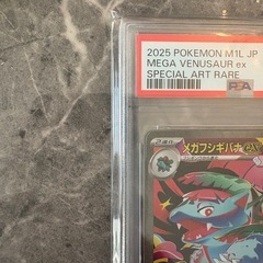   【PSA10 GEM MINT】 メガフシギバナex SAR 087/063 Mega Venusaur ex Special Art Rare｜最高評価 の画像