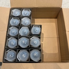 💡新品 シリカ電球 LW100V19W55 13個入りの画像
