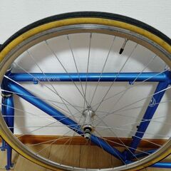 AVASTA ピストバイク フレームセットの画像