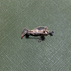 小鳥のブローチの画像