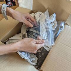 カメラ製品の梱包スタッフ募集（未経験OK・平日のみ・丁寧な作業ができる方歓迎）の画像