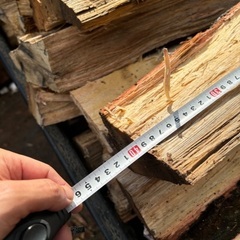 未乾燥ナラ、薪2台近い量の画像