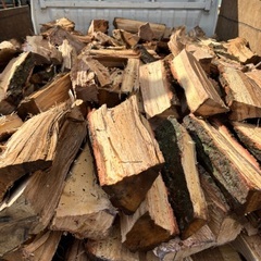 未乾燥ナラ、薪2台近い量の画像
