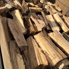 未乾燥ナラ、薪2台近い量の画像