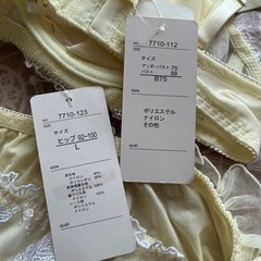 下着セットの画像