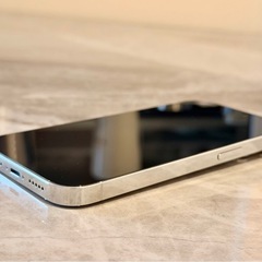【美品】iPhone14Pro 512GB シルバーSIMフリー シャッター無音の画像