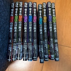 望まぬ不死の冒険者　漫画　十巻セットの画像