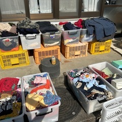 無料❗️無料❗️無料❗️の画像