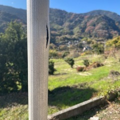 アルミ製 園芸用 3脚 脚立 240cm 8尺の画像