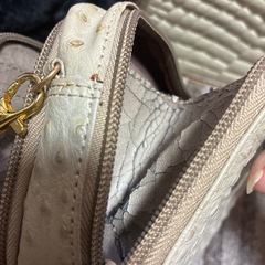 バッグレディースの画像