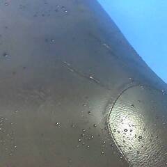 SUZUKI バーグマン200 グレー 格安提供車 半額配送キャンペーン クランキング確認 期間限定 現状渡し諸経費￥0- 横浜 P-Yardの画像