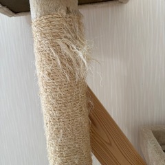 キャットタワー　必ず注意⚠️お読みくださいの画像