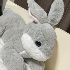 ジャイアントラビット　ぬいぐるみの画像
