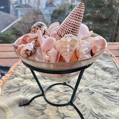 18日中の限定！美しい貝殻とアイアンとガラスのオブジェの画像
