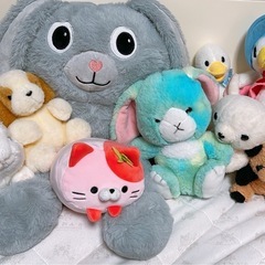 ぬいぐるみ　まとめての画像