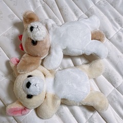 チワワとシーズー　ぬいぐるみの画像