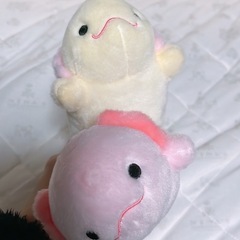 音の出るウーパールーパー　ぬいぐるみの画像