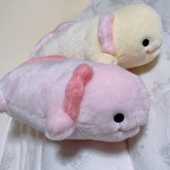 音の出るウーパールーパー　ぬいぐるみの画像