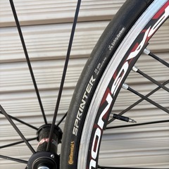 シャマルウルトラの画像