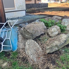庭石0円もらってください引き取り限定の画像