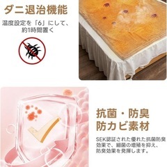 電気毛布洗える⭐️ 6段階温度調整 自動オフ 過熱保護 速暖 PSE認証 ‼️の画像