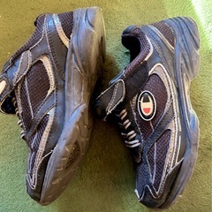 チャンピオン　20.0cm 黒　運動靴　洗い替えにの画像