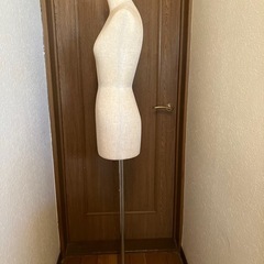 トルソーの画像